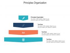 Principles organization ppt powerpoint presentation gallery guidelines cpb