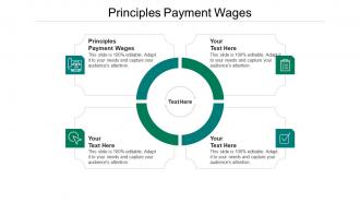 Principles payment wages ppt powerpoint presentation inspiration images cpb