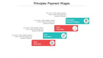 Principles payment wages ppt powerpoint presentation summary show cpb