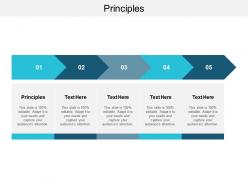 Principles ppt powerpoint presentation inspiration gridlines cpb