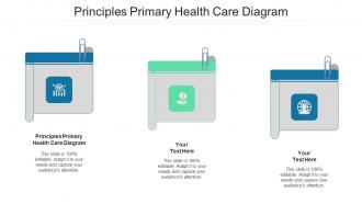 Principles primary health care diagram ppt powerpoint presentation show templates cpb