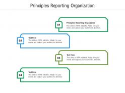 Principles reporting organization ppt powerpoint presentation portfolio introduction cpb