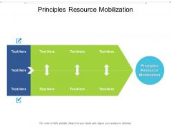 Principles resource mobilization ppt powerpoint presentation portfolio vector cpb