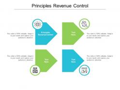 Principles revenue control ppt powerpoint presentation infographic template backgrounds cpb