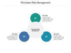 Principles risk management ppt powerpoint presentation show brochure cpb