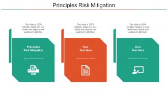 Principles Risk Mitigation Ppt Powerpoint Presentation Styles Shapes Cpb