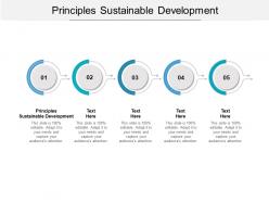 Principles sustainable development ppt powerpoint presentation slides tips cpb