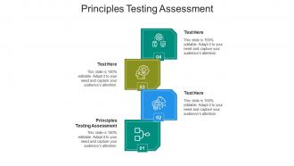 Principles testing assessment ppt powerpoint presentation outline designs cpb