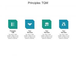 Principles tqm ppt powerpoint presentation infographics visual aids cpb