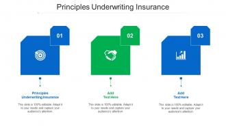 Principles Underwriting Insurance Ppt Powerpoint Presentation Styles Ideas Cpb