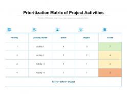 Prioritization matrix of project activities
