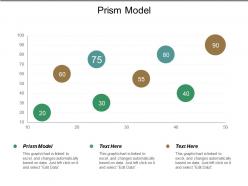 Prism model ppt powerpoint presentation show slide cpb