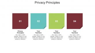 Privacy principles ppt powerpoint presentation layouts slide cpb