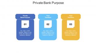 Private bank purpose ppt powerpoint presentation file outfit cpb