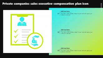 Private Companies Sales Executive Compensation Plan Icon