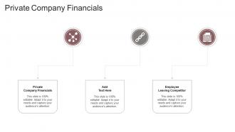 Private Company Financials In Powerpoint And Google Slides Cpb