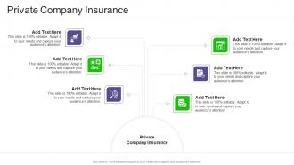 Private Company Insurance In Powerpoint And Google Slides Cpb