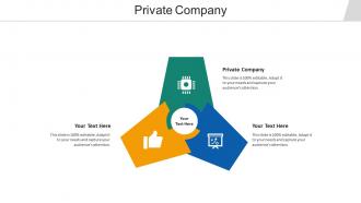 Private company ppt powerpoint presentation outline example file cpb