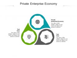 Private enterprise economy ppt powerpoint presentation infographics layout cpb