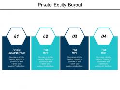 Private equity buyout ppt powerpoint presentation model visual aids cpb
