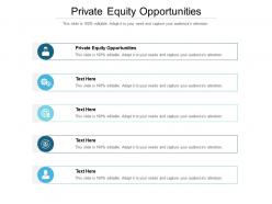Private equity opportunities ppt powerpoint presentation styles layout ideas cpb