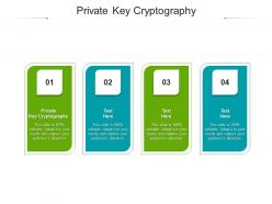Private key cryptography ppt powerpoint presentation layouts icon cpb