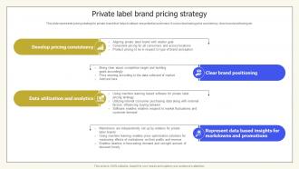 Private Label Brand Pricing Strategy Private Labelling Techniques