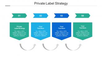 Private label strategy ppt powerpoint presentation summary design ideas cpb