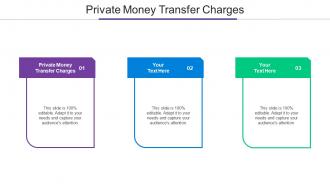 Private Money Transfer Charges Ppt Powerpoint Presentation Portfolio Example Topics Cpb