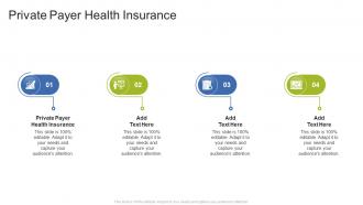 Private Payer Health Insurance In Powerpoint And Google Slides Cpb