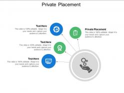 Private placement ppt powerpoint presentation model summary cpb
