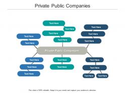 Private public companies ppt powerpoint presentation show rules cpb