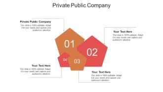Private public company ppt powerpoint presentation icon inspiration cpb