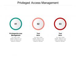 Privileged access management ppt powerpoint presentation styles backgrounds cpb