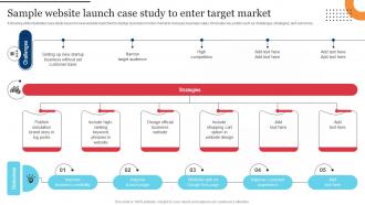 Procedure For Successful Sample Website Launch Case Study To Enter Target Market