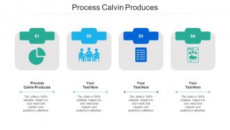 Process calvin produces ppt powerpoint presentation ideas sample cpb
