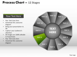 Process chart 12 stages style 1 powerpoint slides and ppt templates 0412