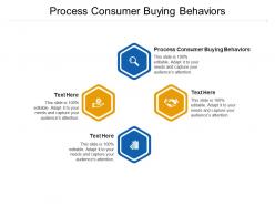 Process consumer buying behaviors ppt powerpoint presentation slides demonstration cpb
