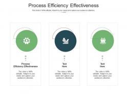 Process efficiency effectiveness ppt powerpoint presentation gallery rules cpb