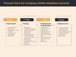 Process flow for company online database security ppt gallery