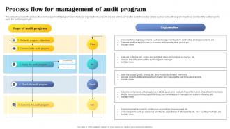 Process Flow For Management Of Audit Program
