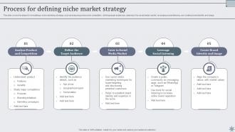 Process For Defining Niche Market Strategy Effective Sales Techniques To Boost Business MKT SS V