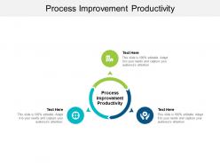 Process improvement productivity ppt powerpoint presentation show graphic tips cpb
