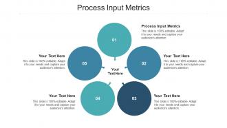 Process input metrics ppt powerpoint presentation professional template cpb