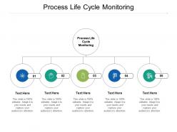 Process life cycle monitoring ppt powerpoint presentation file gallery cpb