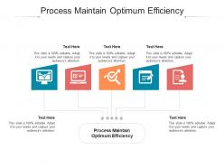 Process maintain optimum efficiency ppt powerpoint presentation model background image cpb