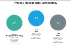 Process management methodology ppt powerpoint presentation file background designs cpb