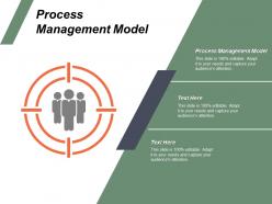 Process management model ppt powerpoint presentation file guide cpb