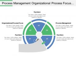 Process management organizational process focus organizational process definition