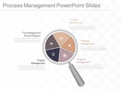 Process management powerpoint slides